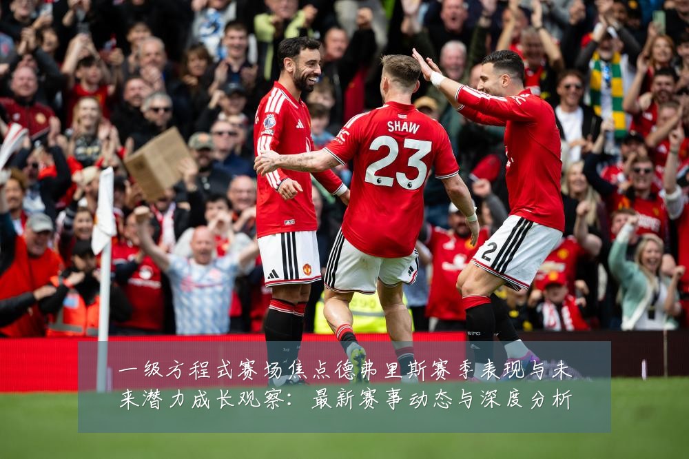 一级方程式赛场焦点德弗里斯赛季表现与未来潜力成长观察：最新赛事动态与深度分析